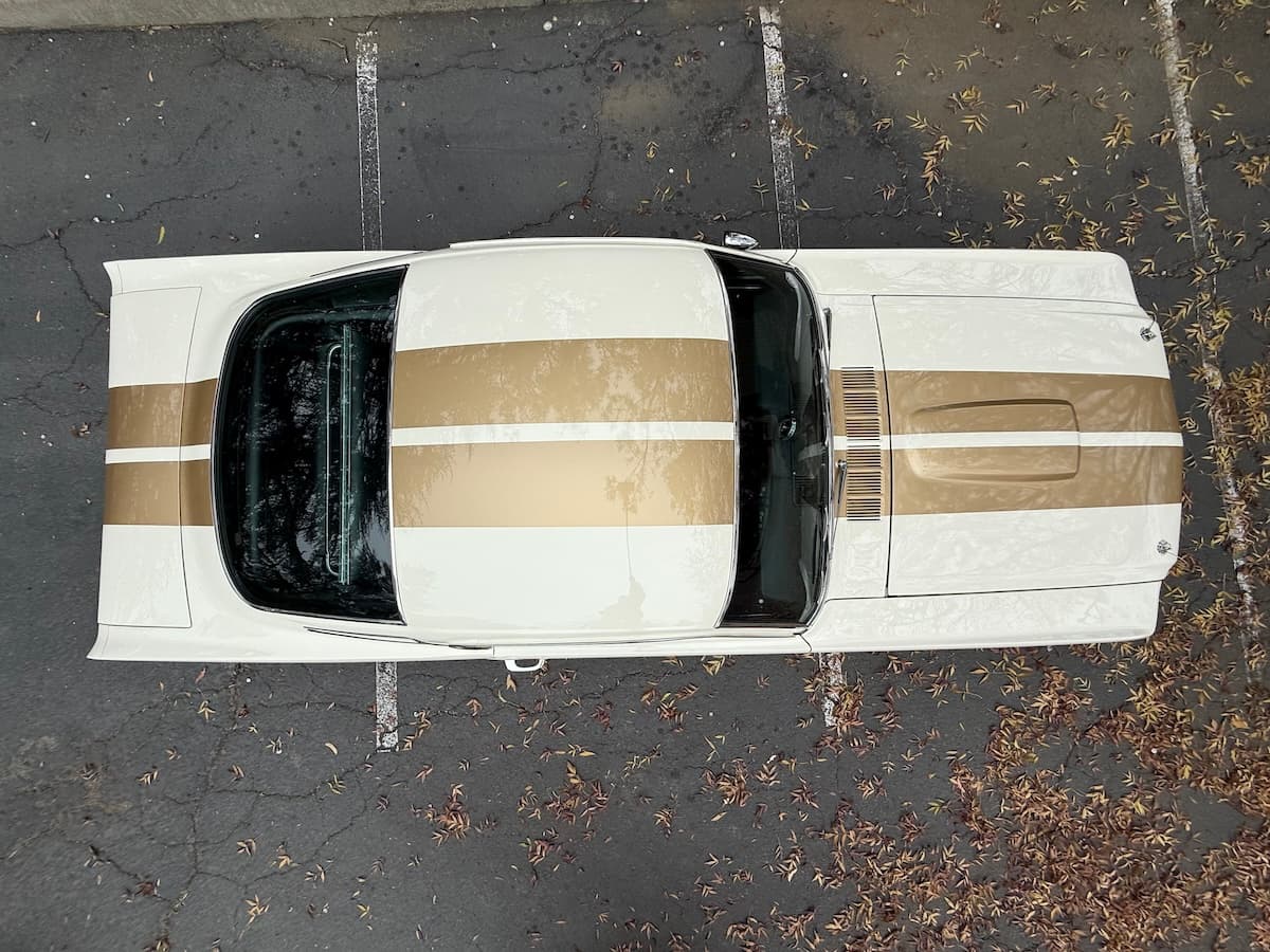 1966 Shelby GT350H - Exterior view