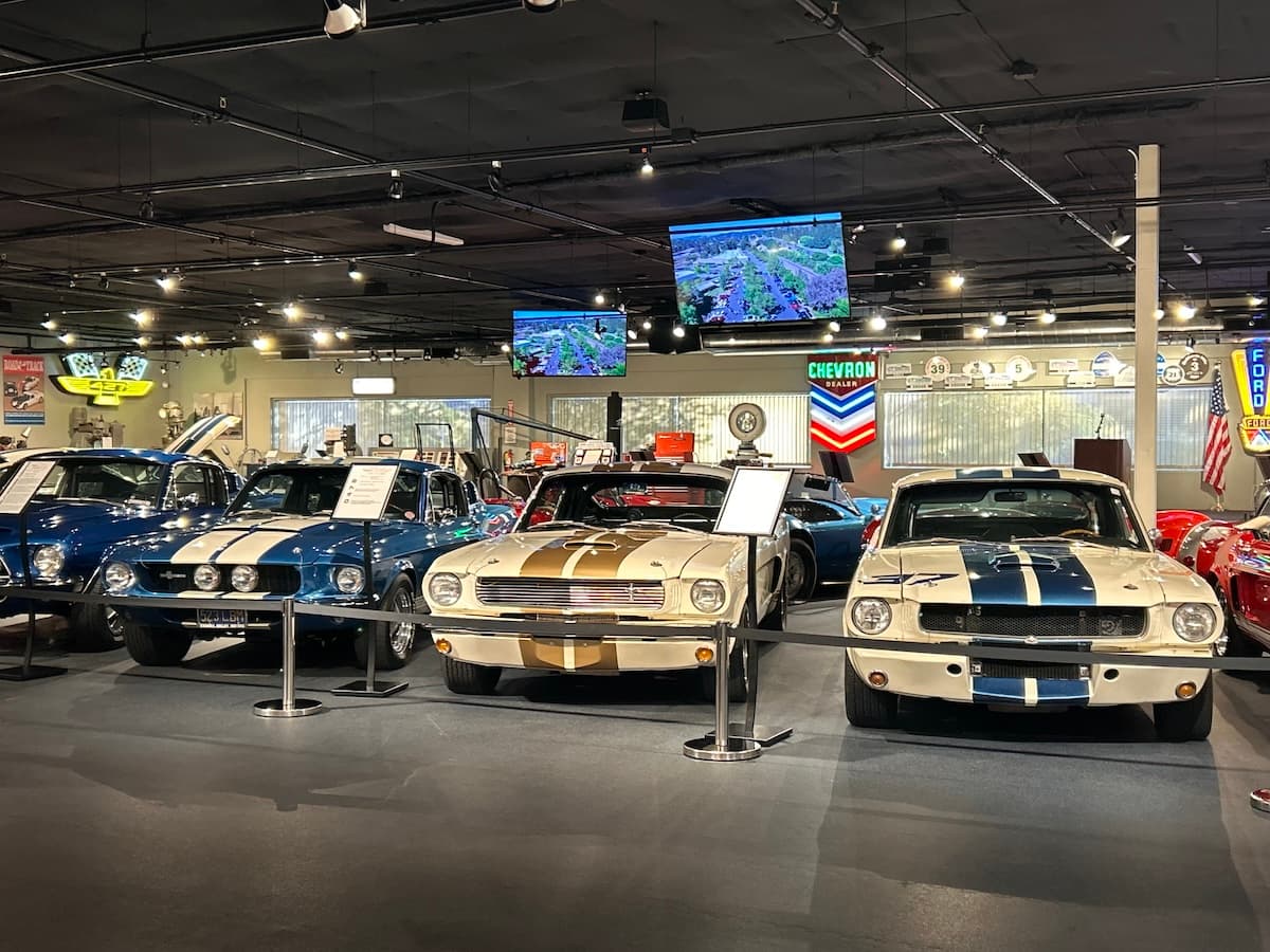 The Cobra Experience museum gallery